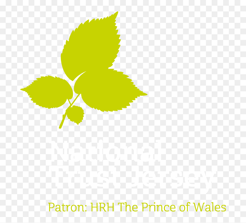 Graphic Design, HD Png Download - reverse png