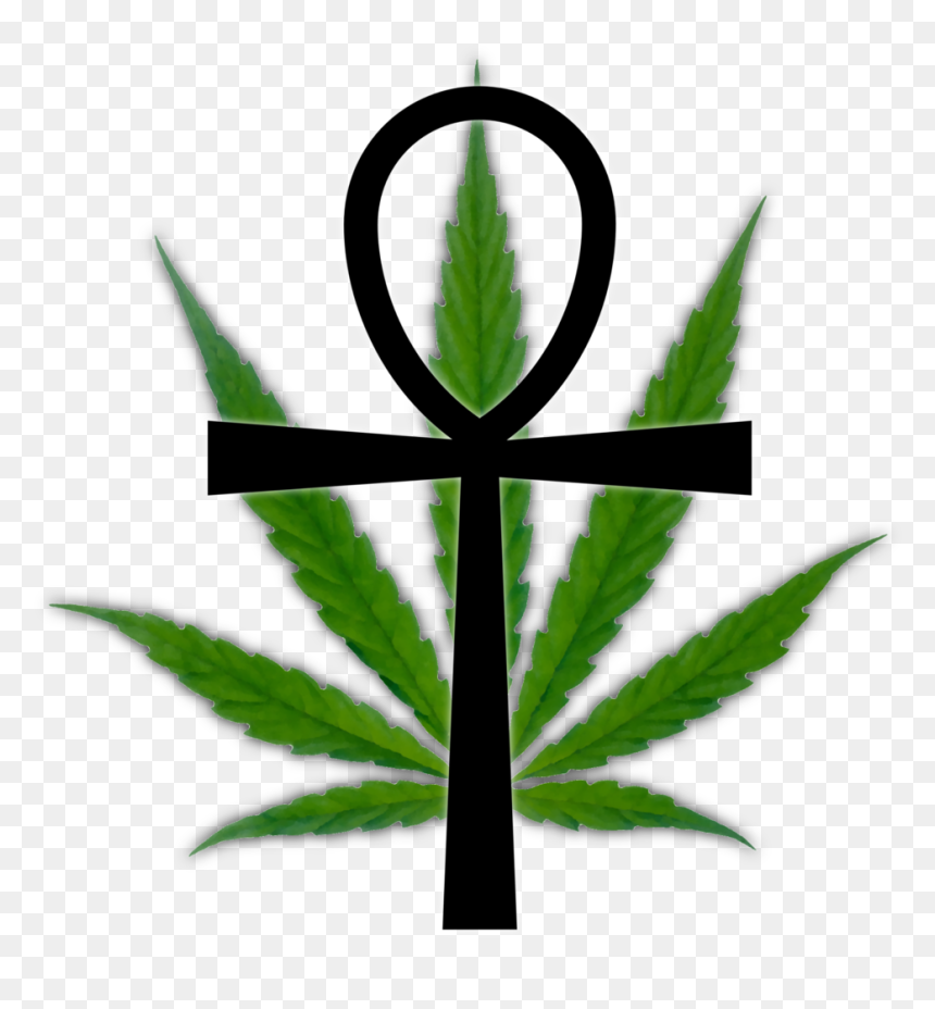 Marijuana Leaf Clipart , Png Download - Help End Marijuana Prohibition Hemp Party, Transparent Png - weed icon png