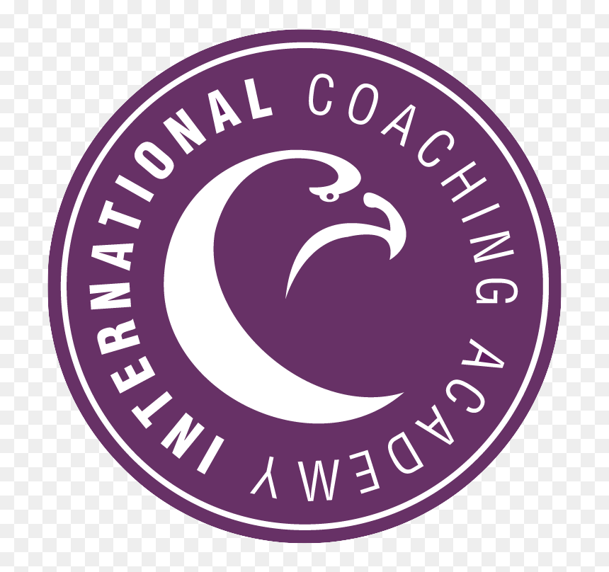 International Coaching Academy, HD Png Download - guile png