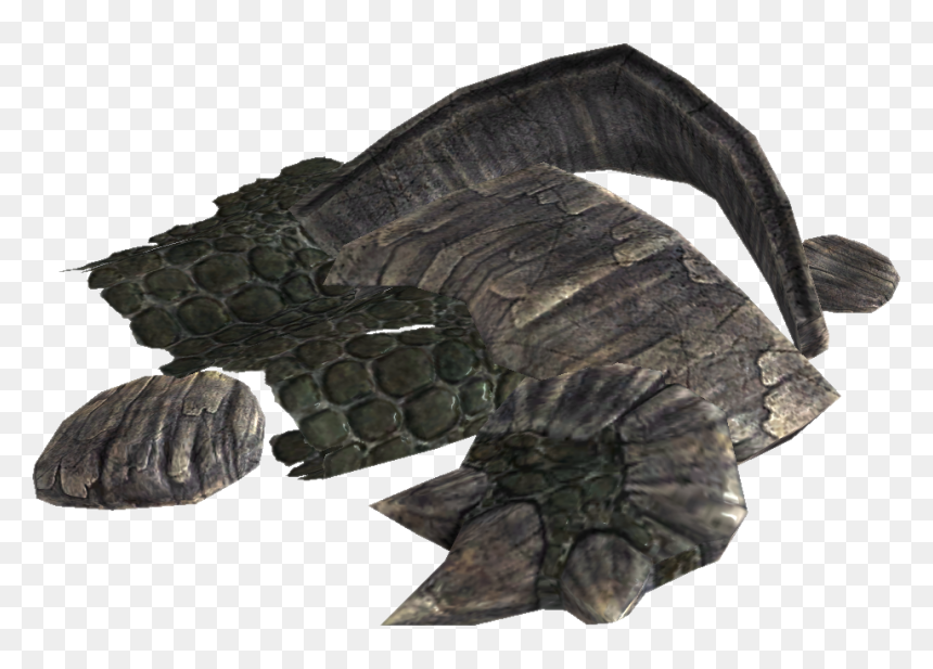 Elder Scrolls - Dragon Scale Elder Scrolls, HD Png Download - dragon scales png