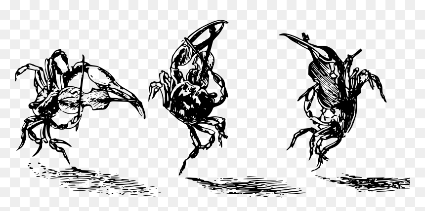 Fiddler Crabs Clip Arts - Clip Art, HD Png Download - crabs png