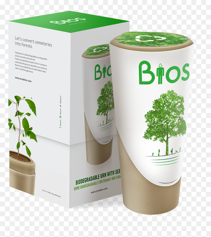Biodegradable Urn, HD Png Download - urn png