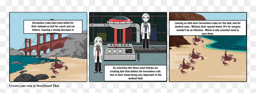 Horseshoe Crab Storyboard, HD Png Download - crabs png