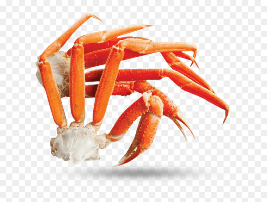 Freshwater Crab, HD Png Download - crabs png