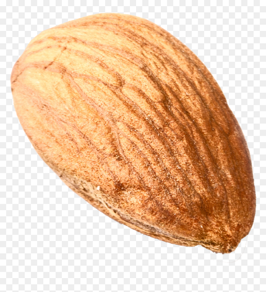 Nut,almond,plant,nuts & Seeds,beige - No Nut November Coupon, HD Png Download - single png