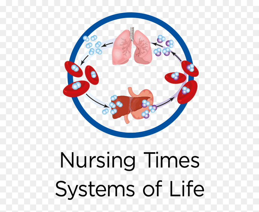 Oxygen In Lungs, HD Png Download - cold breath png