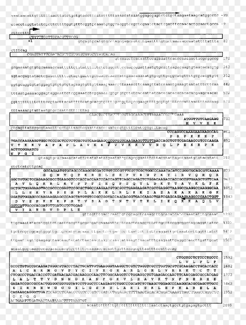 Document, HD Png Download - ki blast png