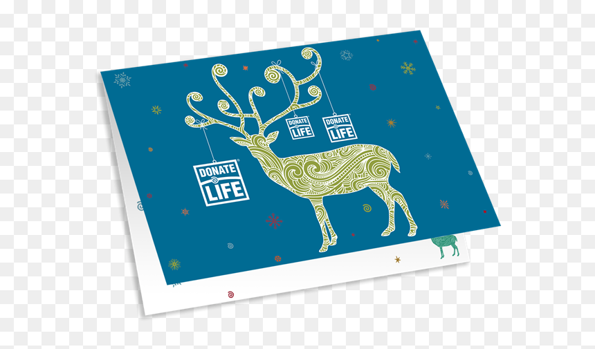 Picture Of 2018 Holiday Card - Reindeer, HD Png Download - holiday card png