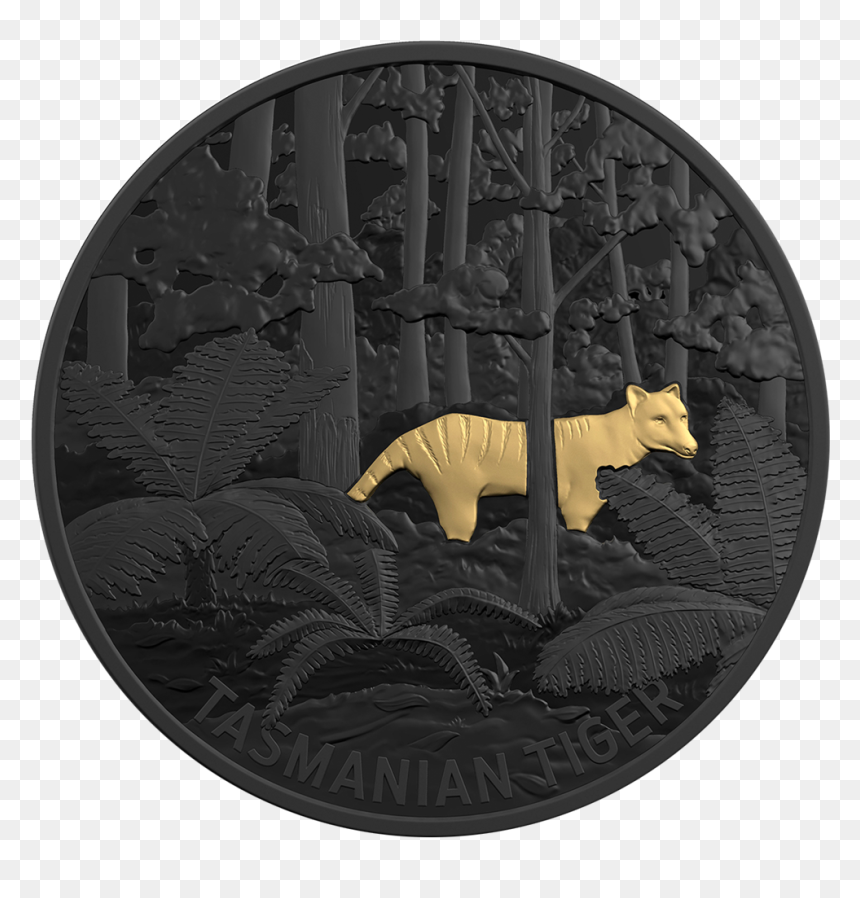 Iaus031974 1 - New Australian Coin 2019, HD Png Download - tiger stripe png