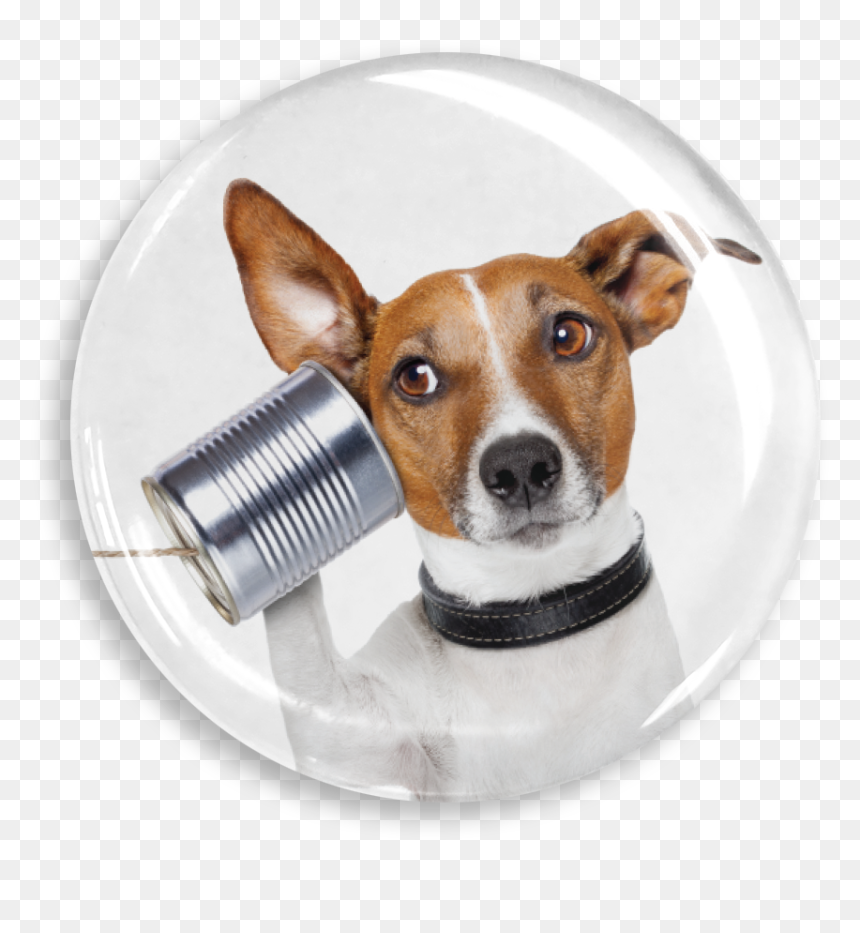Dekaprints 3d Bubble Graphics For Popsockets , Png - Office Phones Are Down, Transparent Png - 3d thought bubble png