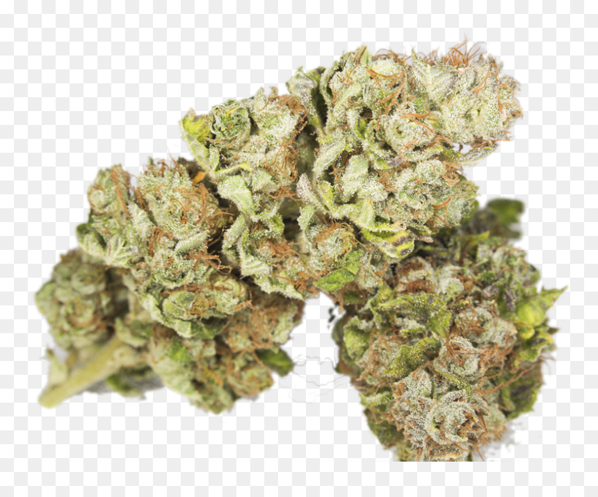 Bruce-banner3 - Purple Bruce Banner Weed, HD Png Download - bruce banner png