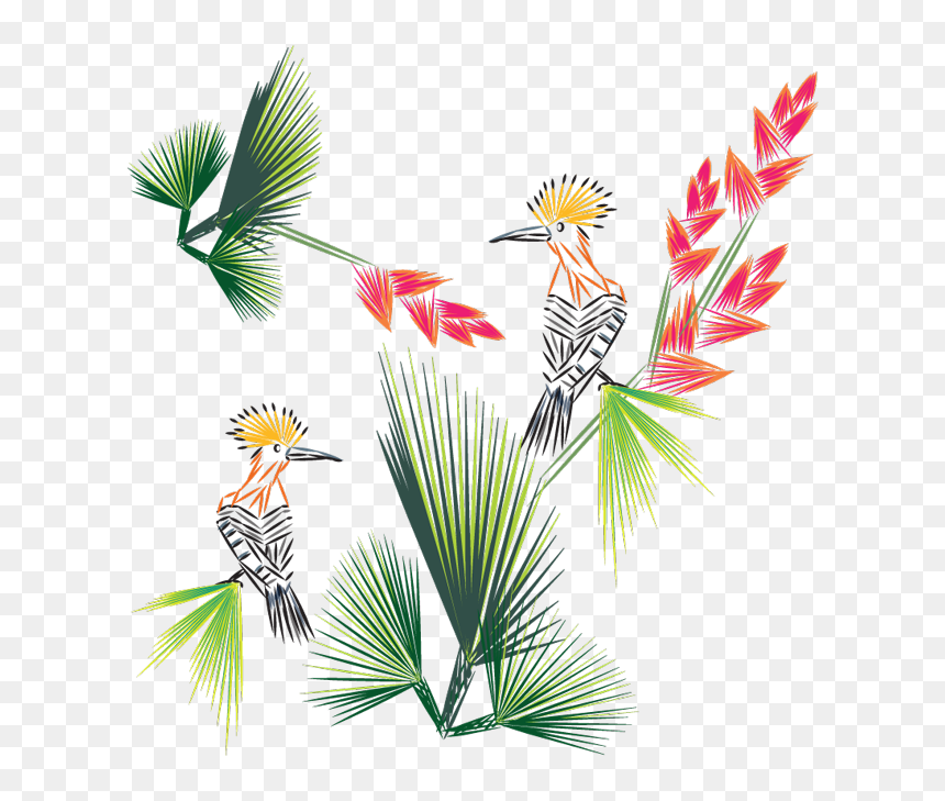 Illustration, HD Png Download - bird of paradise png