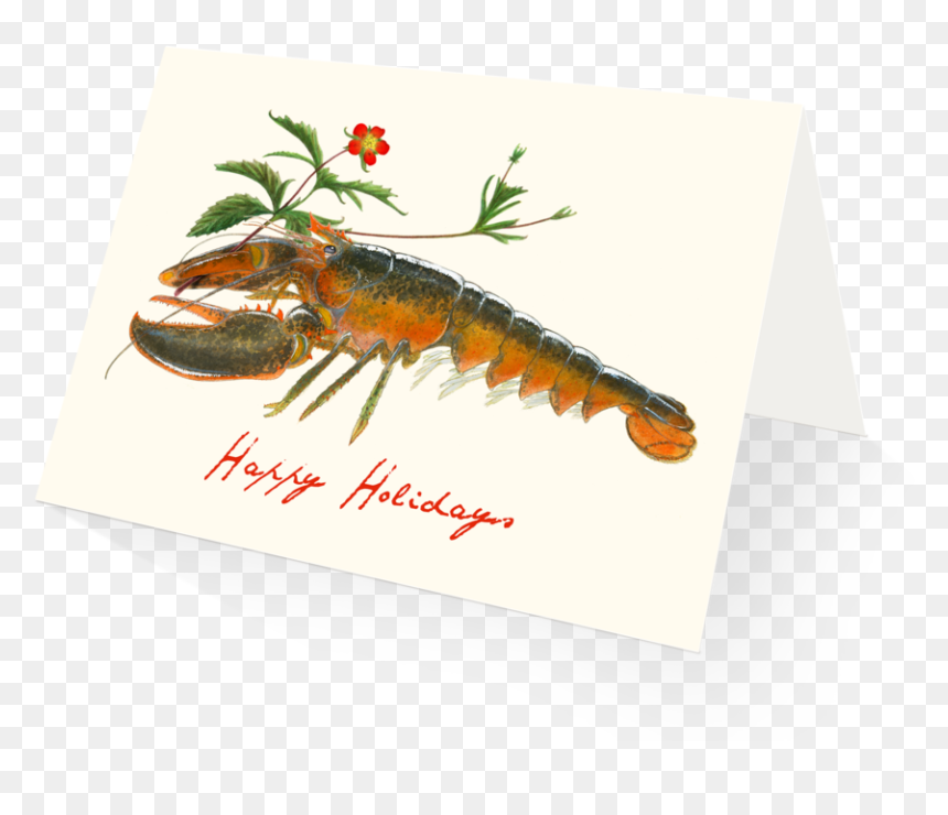 Holiday Lobster Holiday Card Boxed Set - Gulf Fritillary, HD Png Download - holiday card png