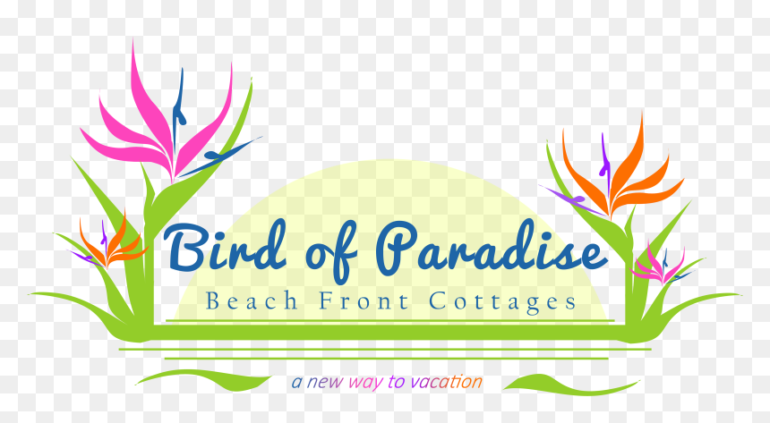 Transparent Bird Of Paradise Plant Png - Bird Of Paradise Logo, Png Download - bird of paradise png