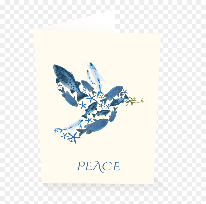 Fish Of Peace Holiday Card Boxed Set - Bluebird, HD Png Download - holiday card png