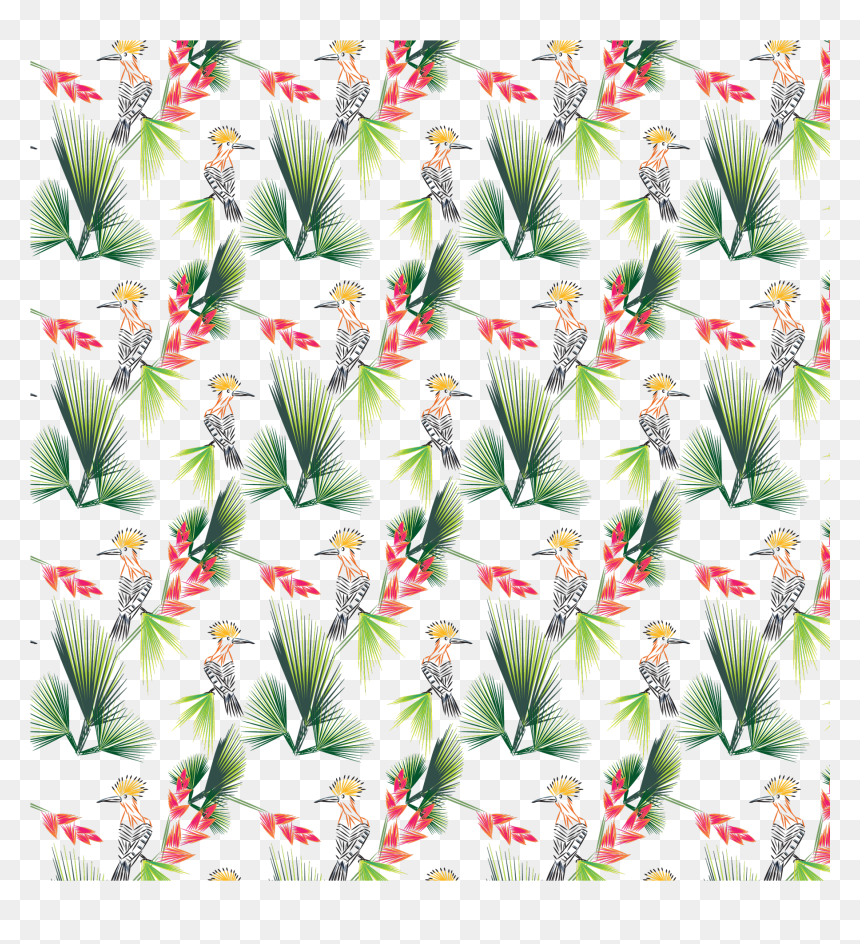 Transparent Bird Of Paradise Plant Png - Illustration, Png Download - bird of paradise png