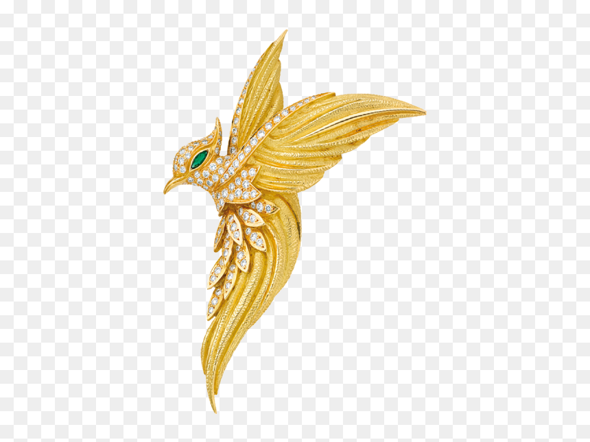 Emberizidae, HD Png Download - bird of paradise png