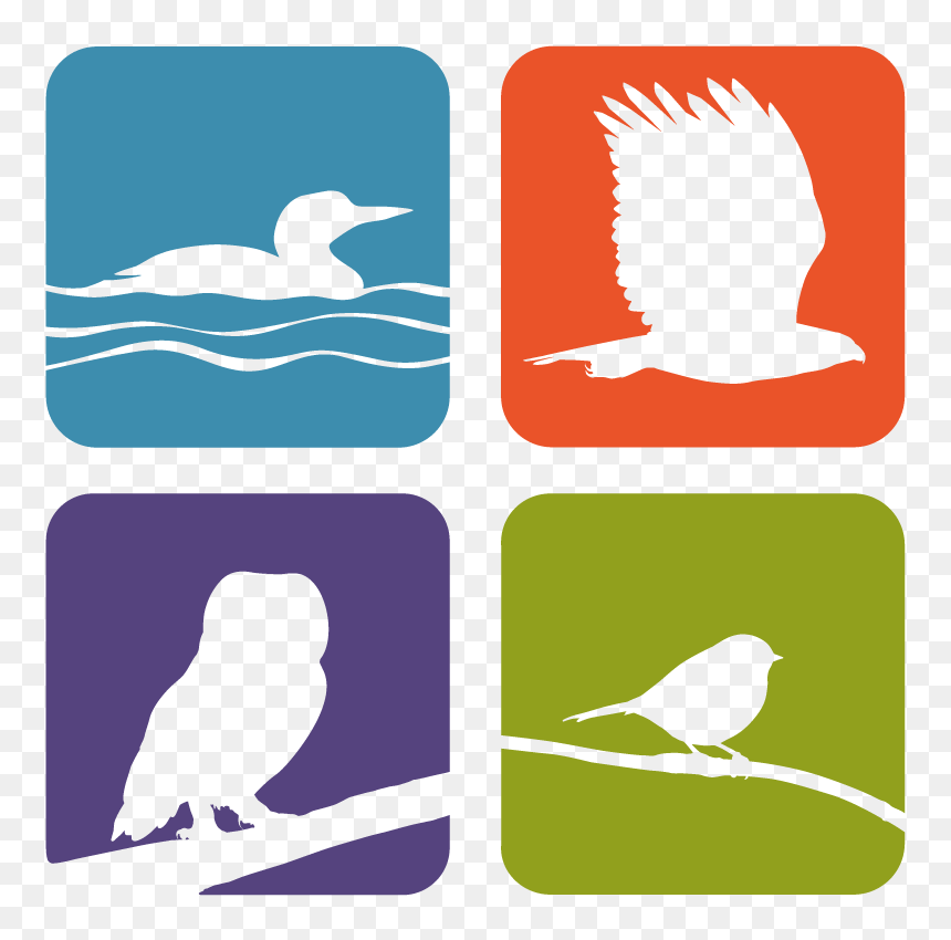 Whitefish Point Bird Observatory Logo - Parrot, HD Png Download - bird of paradise png