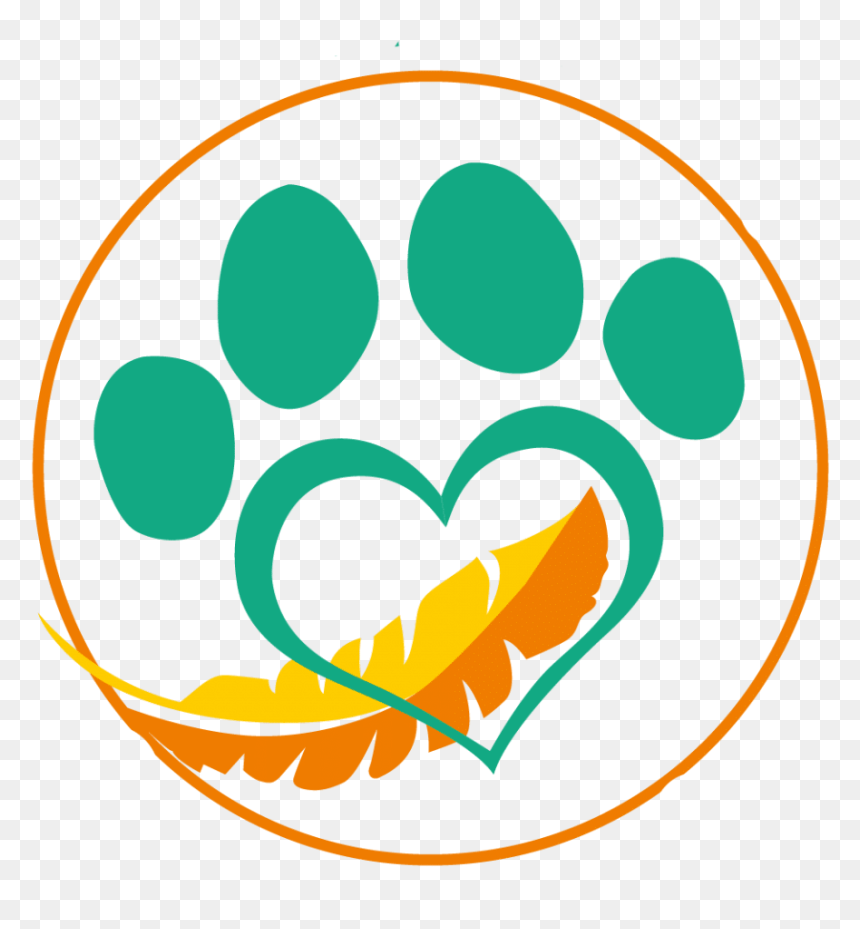 Overnight Care Packages - Clip Art, HD Png Download - care package png