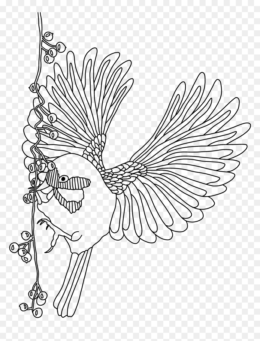Line Art, HD Png Download - combusken png