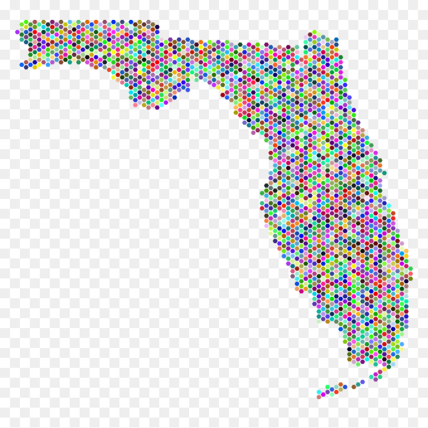 Florida States, HD Png Download - florida state png