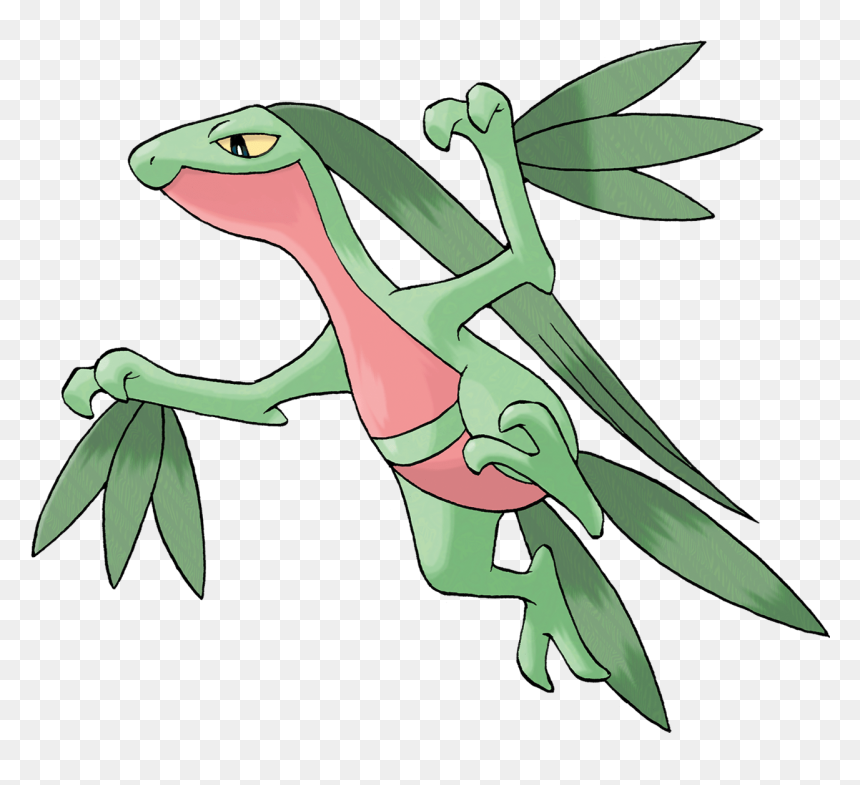 Combusken Png, Transparent Png - combusken png