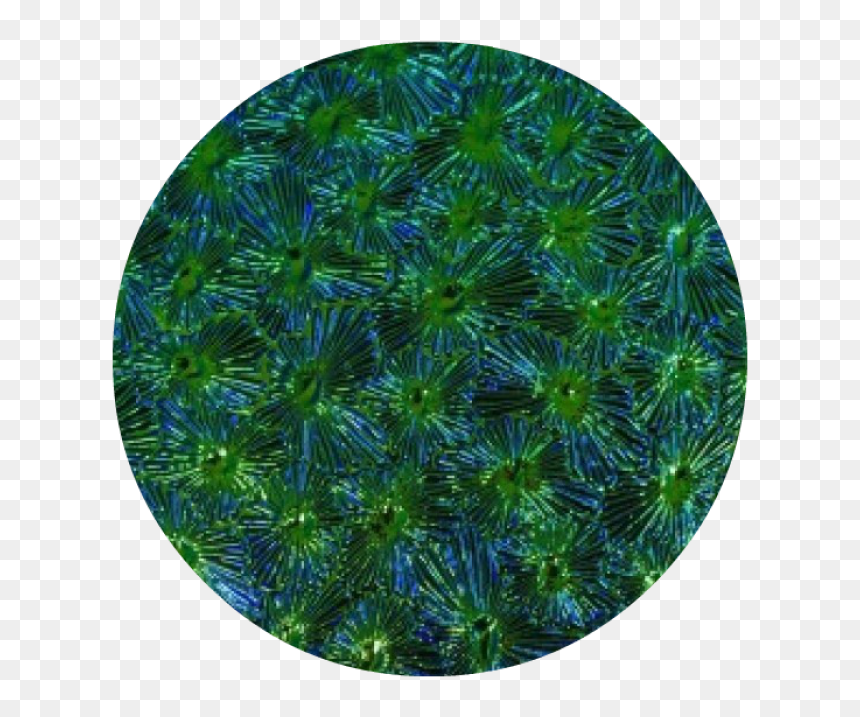 Circle, HD Png Download - blue texture png