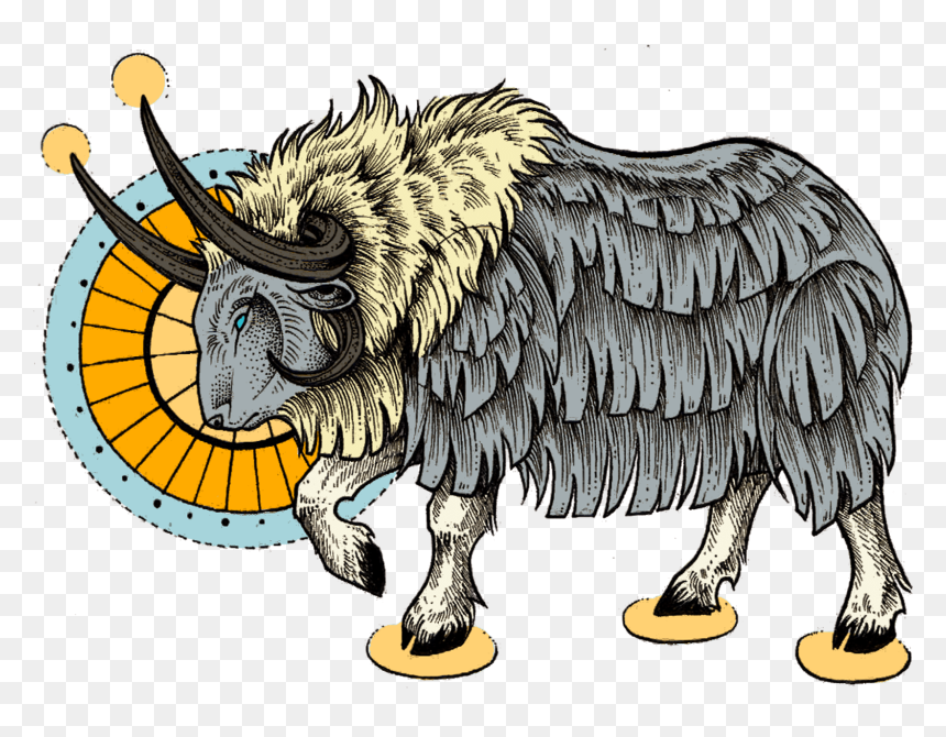 Muskox, HD Png Download - ox png