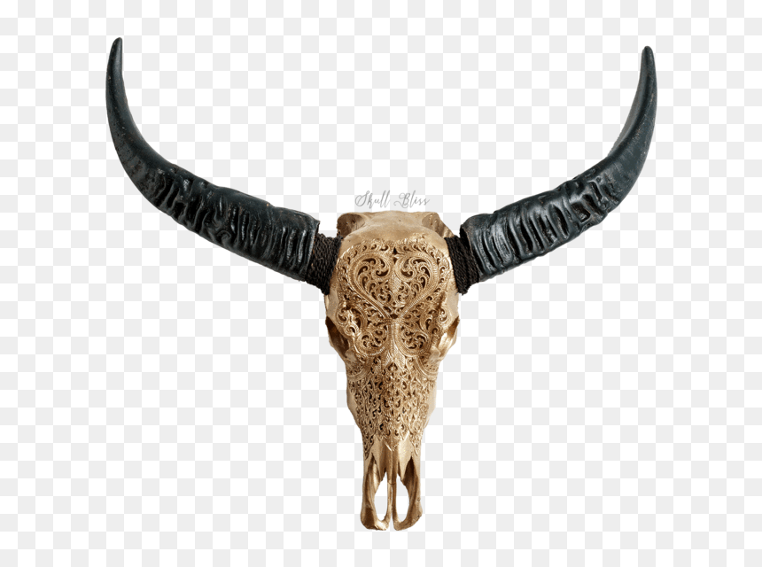 Skull Variant Skull Only - Bull, HD Png Download - golden heart png