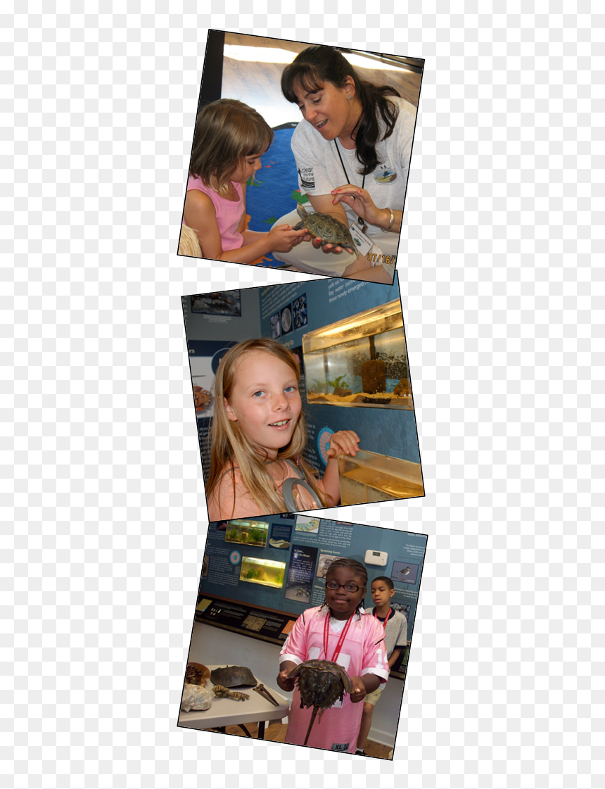 Girl, HD Png Download - photo collage png
