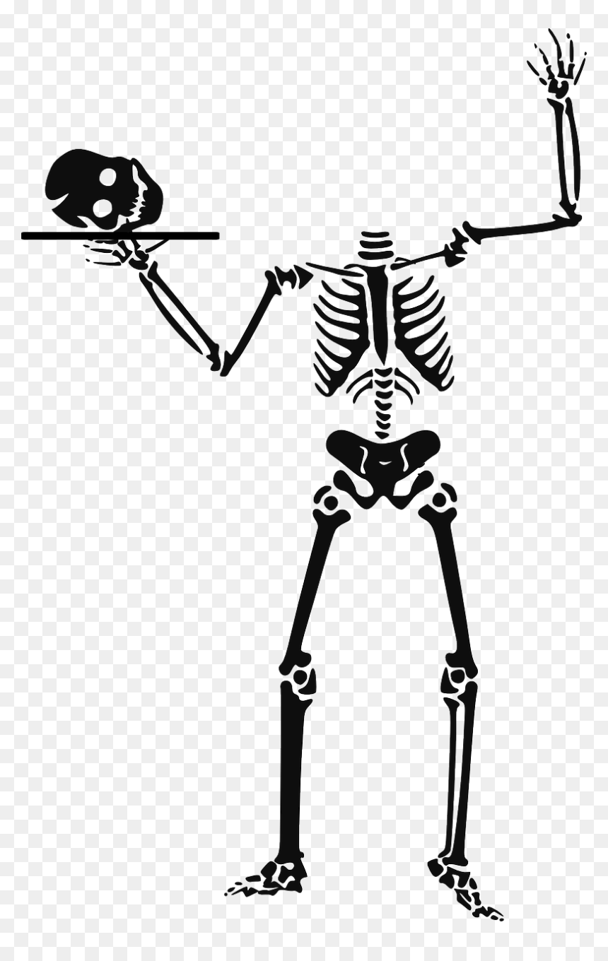 Halloween Skeleton Clipart, HD Png Download - halloween skeleton png