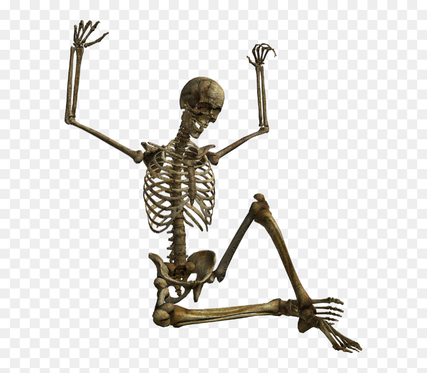 Squelette Png, Tube Halloween - Squelette Halloween Sur Fond Transparent, Png Download - halloween skeleton png