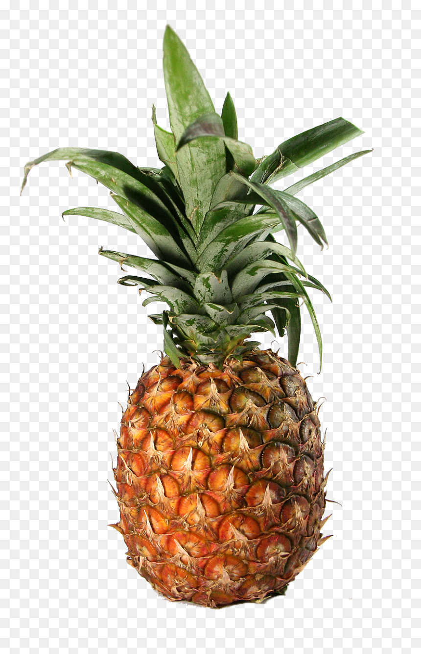 Transparent Pineapple - Pineapple, HD Png Download - pineapple .png