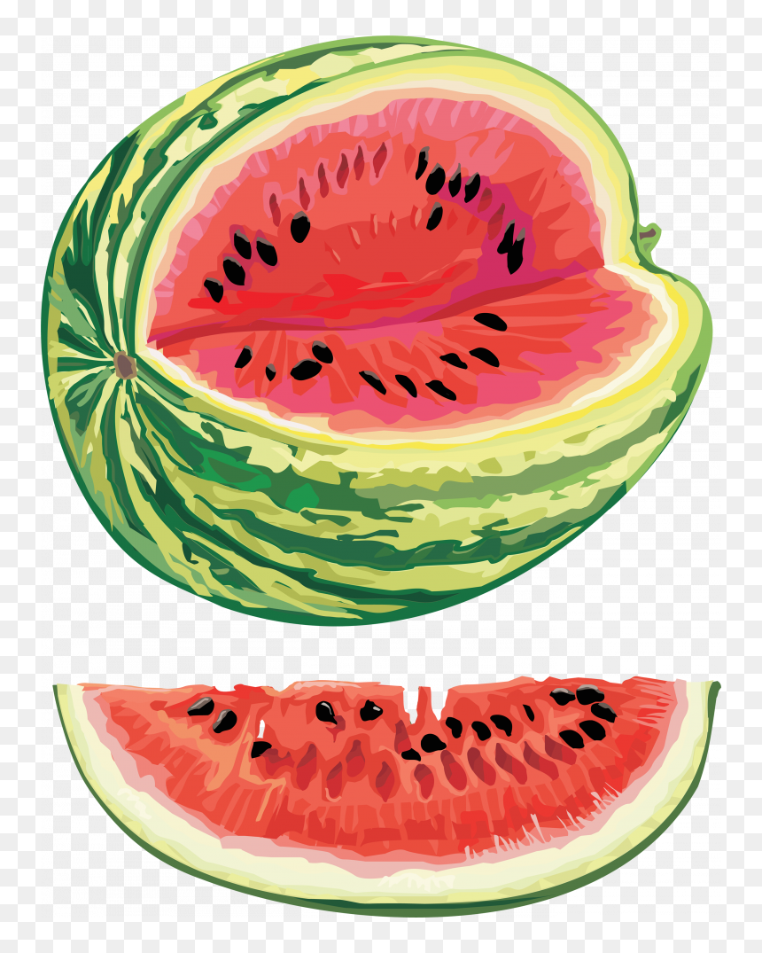 Free Download Of Watermelon Png Clipart - Watermelon Seed Oil Plant, Transparent Png - watermelon.png