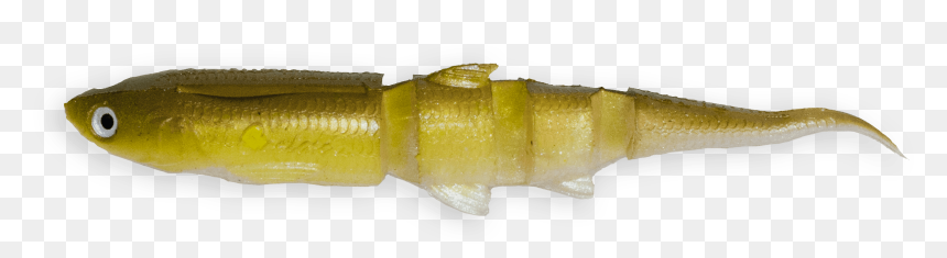 Alligator, HD Png Download - alligator head png