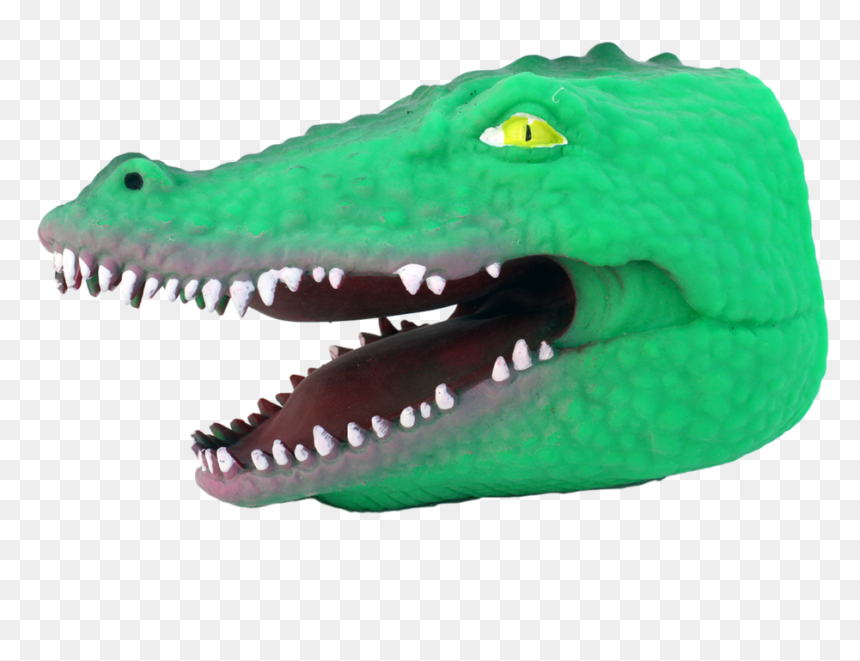 American Crocodile, HD Png Download - alligator head png