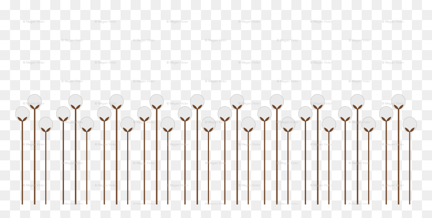 Illustration, HD Png Download - cotton plant png