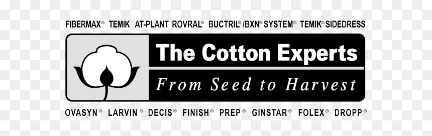 Parallel, HD Png Download - cotton plant png