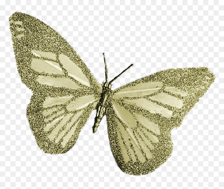 Deco Table Mariage, HD Png Download - butterfly .png