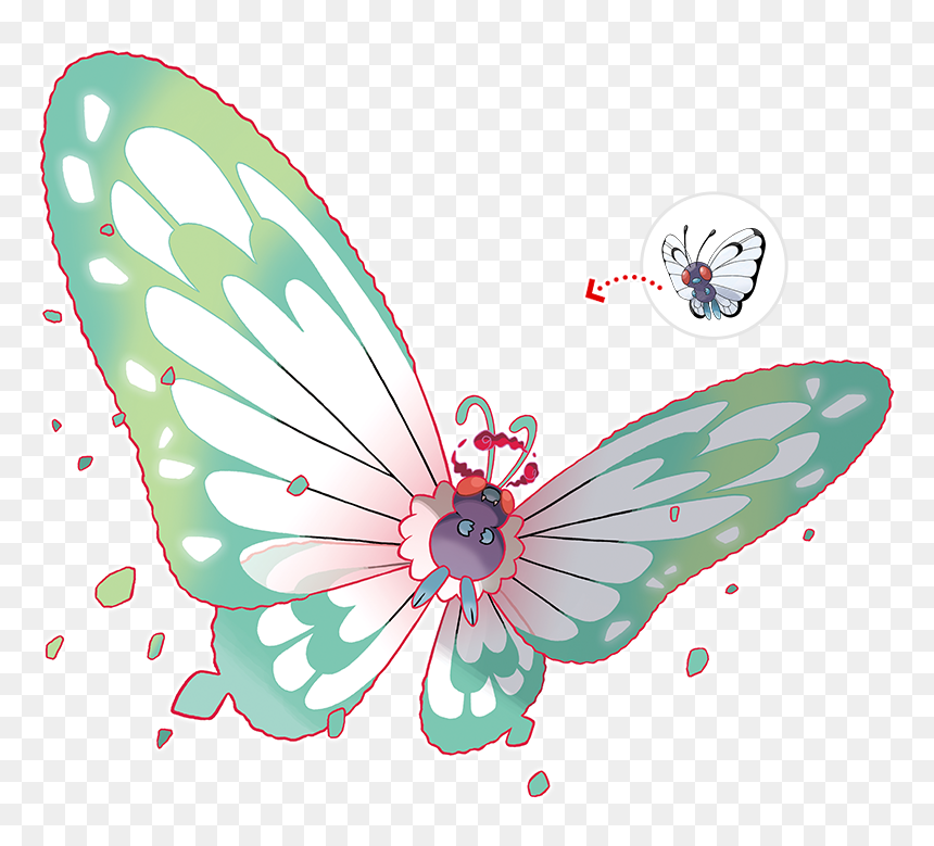 Butterfly .png, Transparent Png - butterfly .png