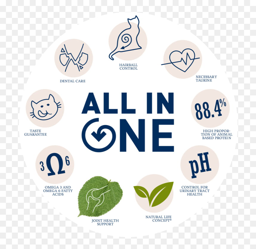 Happy Cat All In One Concept - Circle, HD Png Download - happy cat png