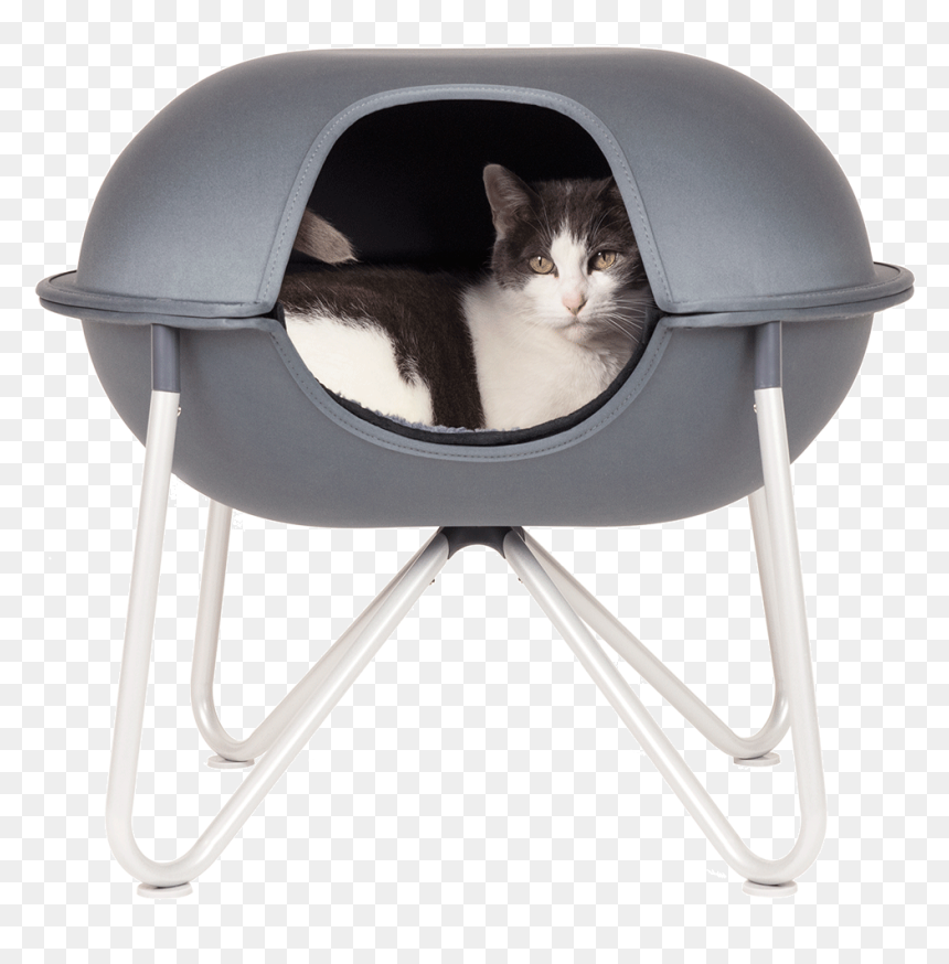 Cat Bed, HD Png Download - happy cat png