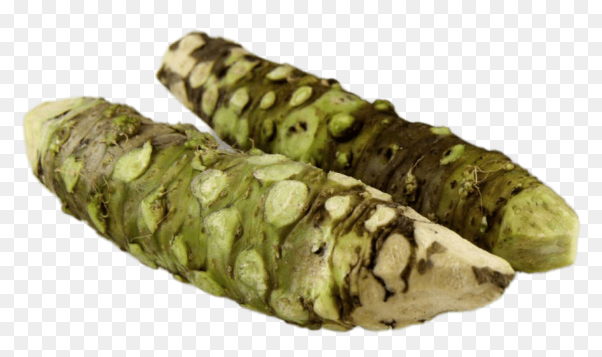 Fresh Wasabi Root Sticks - Wasabi Png, Transparent Png - fresh png