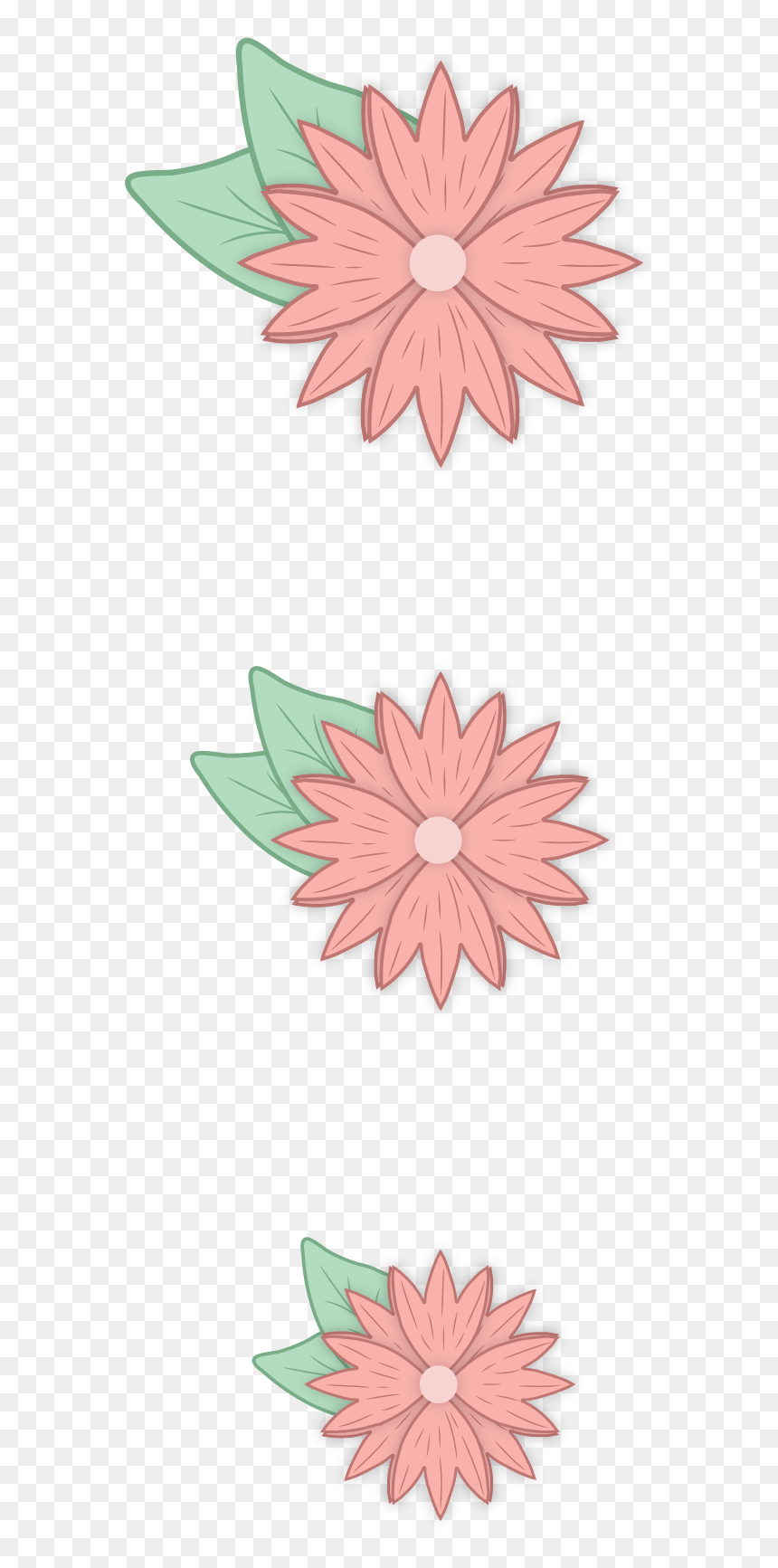 African Daisy, HD Png Download - aster png