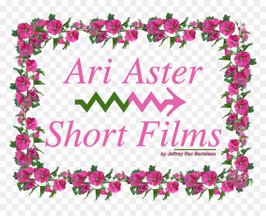 Floral Flowers Border Design, HD Png Download - aster png