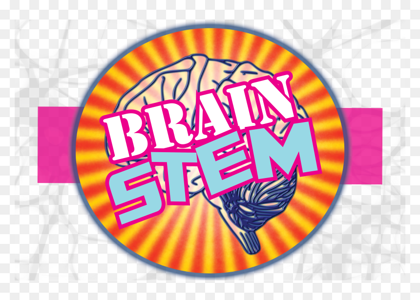 Neuroscience In The Afternoon - Graphic Design, HD Png Download - safari icon png