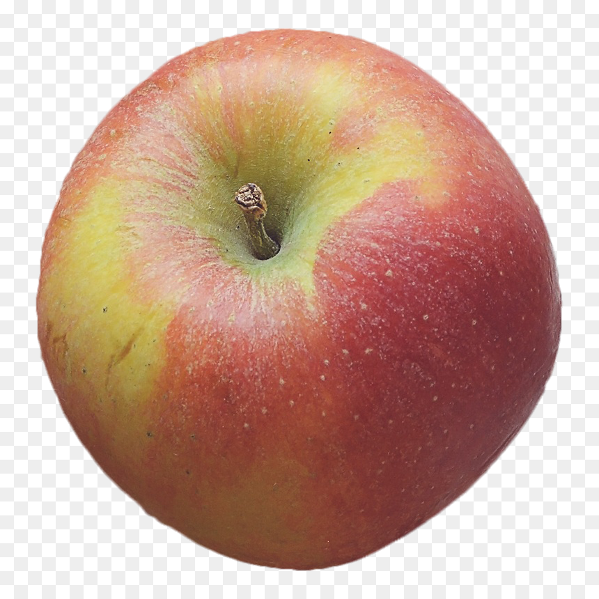 Mcintosh, HD Png Download - thanksgiving.png