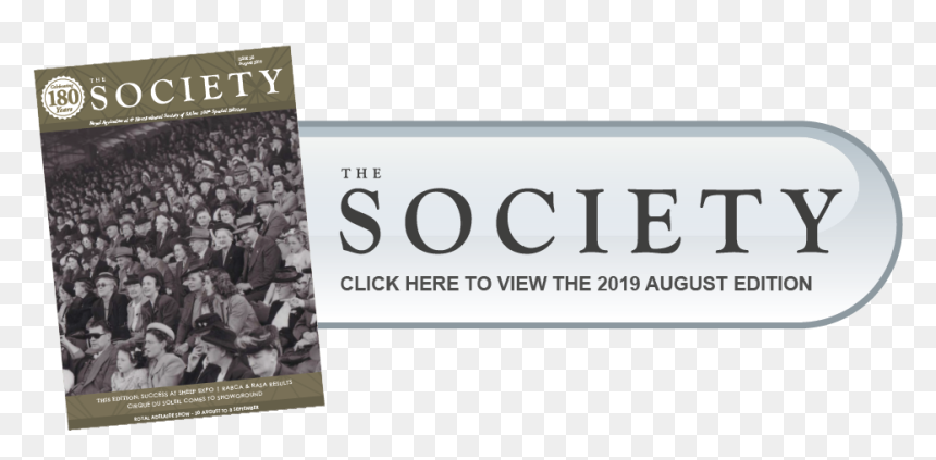Society Download Now Button - Senior Citizen, HD Png Download - download now button png