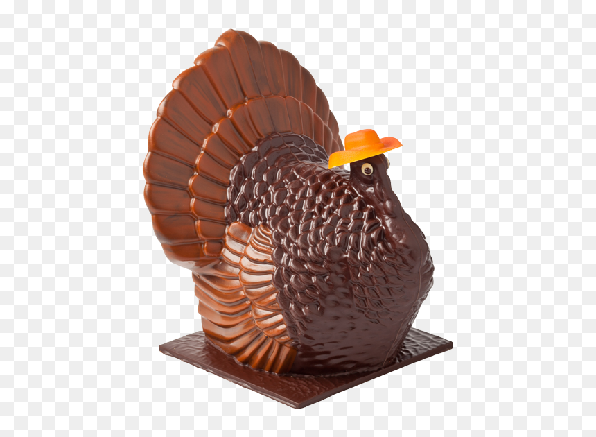 Thanksgiving Turkey - Turkey, HD Png Download - thanksgiving.png