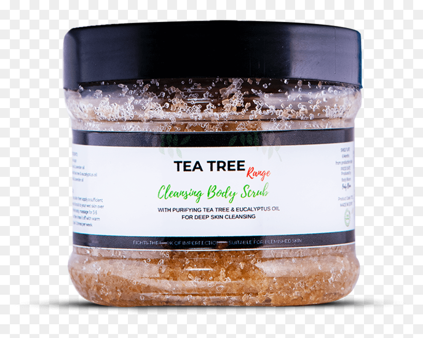 Coconut, HD Png Download - eucalyptus tree png